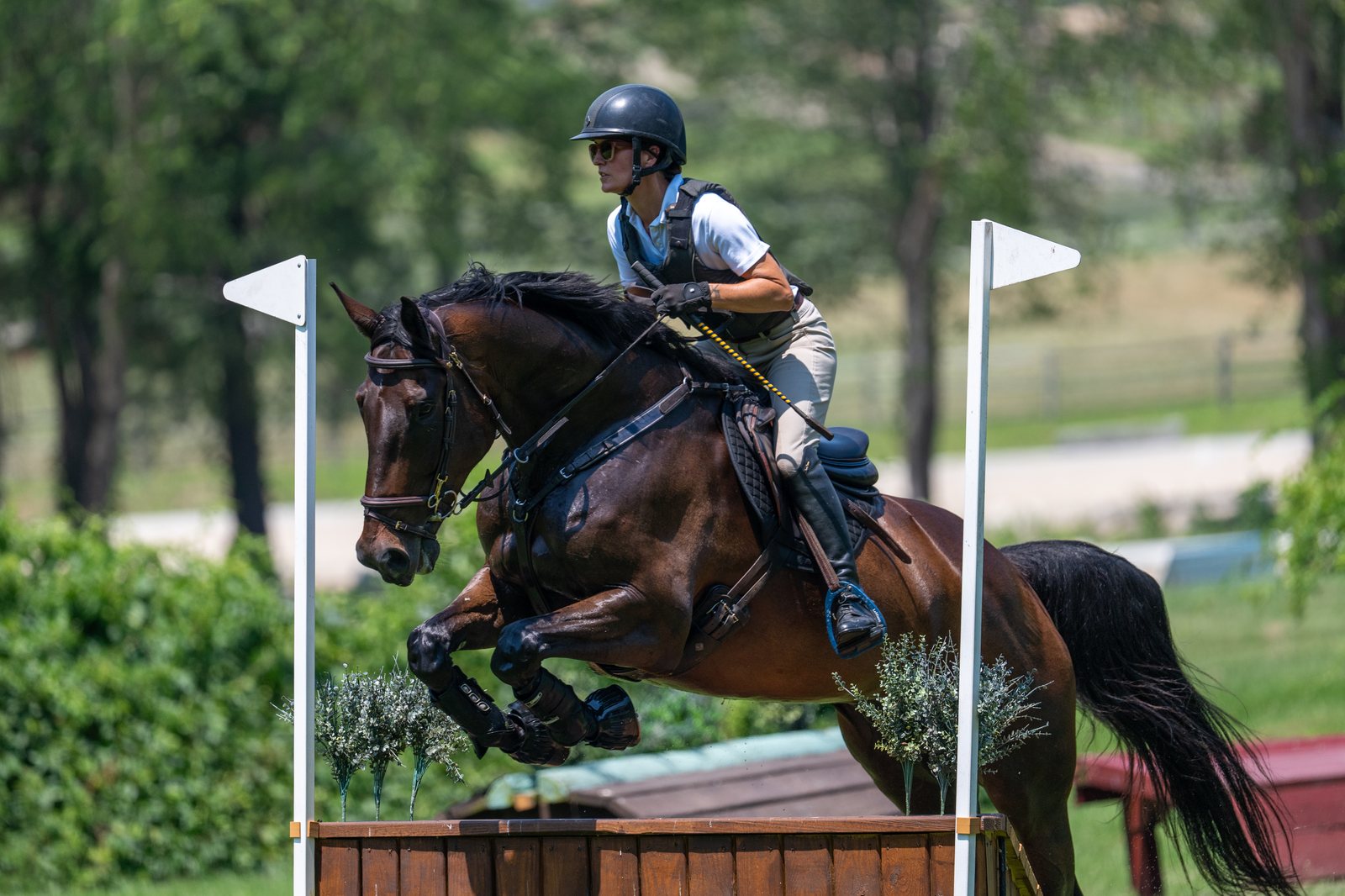 A bay horse over a cross-country fence